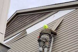 Best Custom Trim and Detailing for Siding  in Duenweg, MO